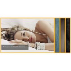 SJ Horizontal Accordion Showcase