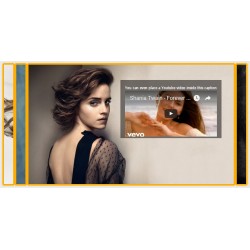 SJ Horizontal Accordion Showcase