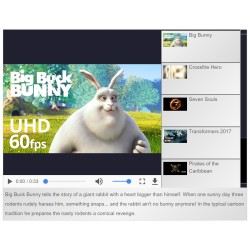 SJ Video Player - Youtube and Local
